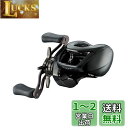 ダイワ(DAIWA) バスベイトリール 24STEEZ(スティーズ) SV TW 100H (2024年モデル)