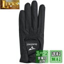BRIDGESTONE(ブリヂストン) ゴルフグローブ TOURSTAGE GLTS24 ブラック 25cm メンズ