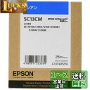 エプソン 純正インクカートリッジ SC13CM シアンMサイズ