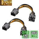 Cable Matters 6ピン PCIe 8ピン PCIe 変換電源ケーブル 2本セット 10cm ビデオグラフィックカードに対応(2)