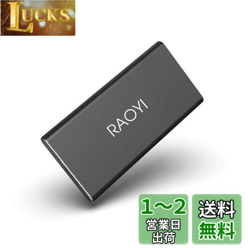 RAOYI 外付けSSD 250GB USB3.1 Gen2 ポータブルSSD 転送速度最大550MB/秒 PS4動作確認済 超薄型・超高速Type-A/Type-C 耐衝撃 防滴 黒