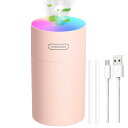 PluieSoleil加湿器 小型 卓上加湿器2023年新モデル 2段変速調整可能 加湿器 除菌超音波 加湿器 機内 USB給電加湿器 静音 オシャレタイマーモ...