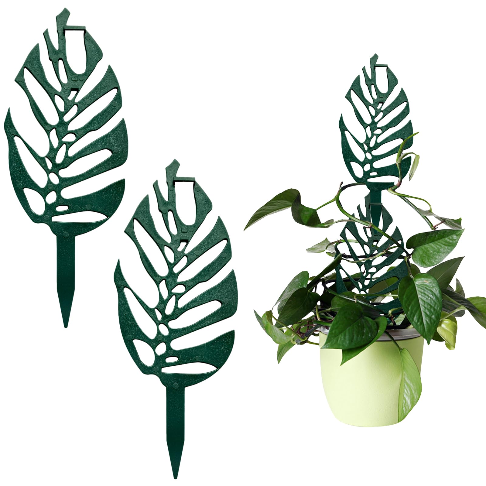 【Charming Club】園芸支柱 朝顔 ヘゴ 支柱つる性植物 観葉植物 植物サポート モンステラ 支柱 フラワースタンド 花支架 ガーデニング支柱 2本 W100mm×H260mm 長期間使用 農業用 園芸用 成長段階 植物倒れ防止 使用簡単 多種類の蔓生植物対応 (葉型-2本)