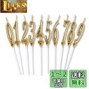 Phyxiul バースデー ナンバー キャンドル 0〜9 10点セット 誕生日 お祝い 高級 ろうそく 記念日キャンドルウエディングパーティー卒業パーティー (...