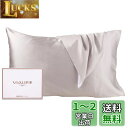 Vialifer シルク枕カバー 100%天然 6A級 43×63cm 封筒式枕カバー シルクピローケース テンセル 洗える 寝癖軽減 抗菌防臭 うるつや髪 美...