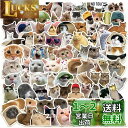 ねこステッカーセット 100枚 キャット防水ステッカー 猫シールパック にゃんちゃんブランドステッカー スーツケース 車 バイク ヘルメット スケボー ギターなどに適用