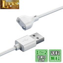 YFFSFDC 磁気充電ケーブル マグネット USB充電ケーブル 急速充電 安定 磁気吸着 チャージャーケーブル 洗顔ブラシ バイブアタッチメント ハンディマッサージャー 対応 (2ピン間の距離5mm)