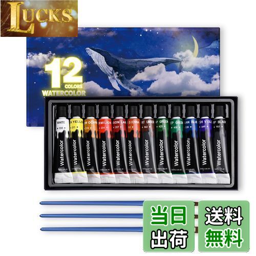 【送料無料】15点セット 水彩絵の具 12色 透明水彩絵の具 3本ブラシ付き チューブ 速乾 手軽 無毒性 耐光性 大人の塗り絵 水彩画 お絵描き 美術 画材セ...