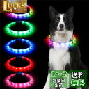 【送料無料】Sazuik 犬 光る首輪 12つ発光モード 多色発光 ペット LED首輪 USB充電式 サイズ調整可能 装着簡単 柔らかい 犬 猫 夜散歩ライト 軽量 安全対策 視認性 小型・中型・ 大型犬 (ホワイト)