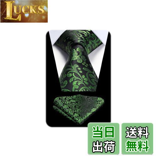 【送料無料】[HISDERN] ペイズリー柄 ネクタイ チーフ セット メンズ 黒 おしゃれ 花柄 ピンク ビジネス ネクタイ 結婚式 二次会 入学式 卒業式 派手プレゼント