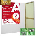 AUREUO 張りキャンバス セット F40 (100cmX80.3cm) 中目 100%コットン 2枚 初心者 絵画用具 芸術絵創作 現代油絵 美術装飾 水彩...
