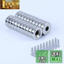 強力磁石 マグネット 穴あき 超強力 専用ネジ付き 丸型磁石 直径10mm 厚み2.5mm 20個セット