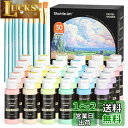 Shuttle Art アクリル絵の具 パステルカラー 30色 絵の具セット 60ml ペイントブラシ10本付き かわいい 柔らかい色調 キャンバス/石/木/ガ...