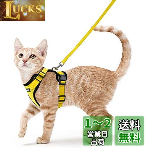 Rabbitgoo 猫 ハーネス リード セット 抜けない ソフト胸あて 軽量 超小型犬 小型犬 猫 散歩 用 ハーネス 胴輪 足を上げず装着完成 サイズ調節可 夜反射 通気メッシュ 咳込み防止 猫 散歩 紐 ひも はーねす りーど（イエロー XS）