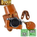 Rieibi Nikon Zfc ケース、zfc 保護ケース 28mm/16-50mmレンズ対応 ミラーレス一眼カメラ zfc カメラケース zfc カバー カ...