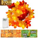 DERAYEE 秋の葉 ガーランド ハロウィン クリスマス 飾り 人工 紅葉 電池式 20個のLED 長さ3M ストリングライト ホーム 暖炉 (多色)