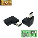 Access 【 左右上下 L型 10Gbps 2個セット 】USB-C メス to USB-C オス 方向転換 変換アダプタ + マイクロファイバークロス付 ...