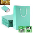 Ouyes ギフトバッグ、厚手の無地紙袋10点セット【中】、ギフトボックスギフト包装トートバッグあらゆる種類のホリデーギフト包装に適しています(ティファニーブルー)