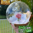 【LEISURE CLUB】10個入り 広口 透明バルーン クリアボボボバルーン アクアバルーン クリアバルーン バルーンフラワー ブーケ 花束 PVCバルーン 風船 透明な風船 ラテックス風船 セット きらきら風船 パーティー お祝い 花火大会 七夕 ウェディング 結婚式 記念日 お祝い