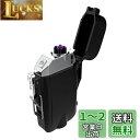 プラズマライター USB充電式 懐中電灯 小型 級防塵 防水 防風 無火炎 軽量 登山 キャンプ サイクリング ハイキング 防災 夜釣りなどのアウトドアジムに最...