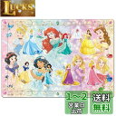 テンヨー(Tenyo) チャイルドパズル ディズニー ディズニープリンセス プリンセスごっこしましょ! 55ピース こども向けパズル シルエットシリーズ DC-...