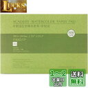 MEEDEN 画用紙 水彩紙 20枚入 中目(冷間圧紙)8K規格 380×260mm 超厚口300g 100%コットン無酸 水彩画紙 水彩絵具/水彩毛筆/水性ペ...