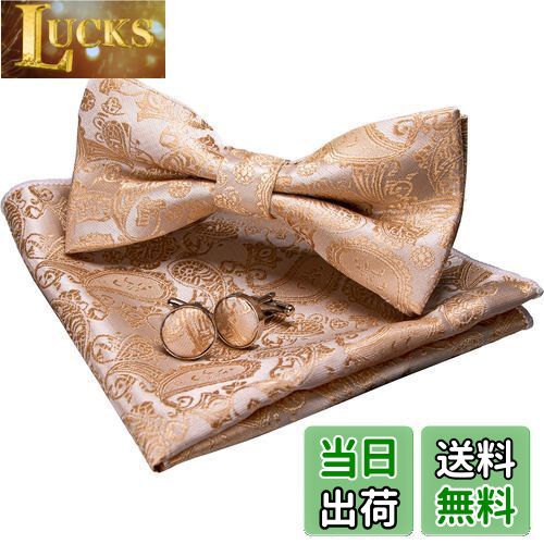 【送料無料】[JEMYGINS] 「ジェミギンズ 蝶ネクタイ メンズ 金色の2 シルク ペイズリー柄 フォーマル ビジネス 結婚式 プレゼント カフス ボタン ハンカチ セット(17)