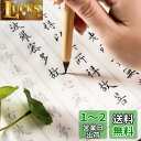 般若心経 写経用紙セット(20枚入り写経紙+筆ペン) 願文スペース付き なぞり書き 手本付き 大きいサイズ67cm×35cm 行幅ー?5cm