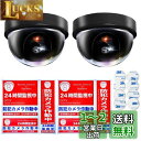 Co-Goods ダミーカメラ (2個) 防犯ステッカー 防水/耐光(内貼1式、普通1式) 防犯カメラ ダミー 監視カメラ 防犯シール (on/off機能有 黒...