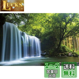 1000ピース ジグソーパズル 癒しの水簾(熊本県鍋ヶ滝) (50x75cm)