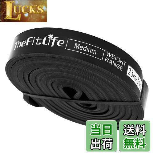 【送料無料】TheFitLife トレーニングチューブ 筋トレチューブ 懸垂チューブ (黒)