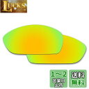 【送料無料】剥がれ防止 Oakley Straight Jacket(...(4)