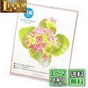ハクバ HAKUBA フォトスタンド アクリルLフレーム 色紙サイズ FACL-SK クリア