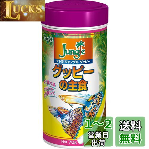 ƥȥ (Tetra) 󥰥륰åԡ 70g Ǯӵ  ա