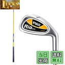 【送料無料】AKOZLIN 子供用 ゴルフクラブ アイアン 単品 右用 ジュニア用 キッズクラブ ゴルフ練習クラブ 練習 初心者 キッズ ゴルフスタート ジュニ...