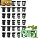 【送料無料】LIKENNY 水耕栽培鉢 定植かご プラスチックメッシュポット 植物育成カップ 水耕栽培ポット 園芸 庭園 ガーデンニング 苗運搬 植物栽培 無肥...