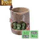 【送料無料】NUOLUX 植木鉢 園芸ラック 可愛い 多肉植物 サボテン 鉢 蛙 クリエイティブ カエル ミ二植木 プランター 動物セット 家装飾 プレゼント ...