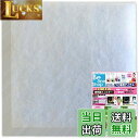 【送料無料】給気口フィルター 換気口フィルター10枚入 (120×120mm他サイズ多数有り) 花粉 害虫 黄砂 (S120)