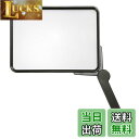 【送料無料】Kenko ルーペ ジャンボルーペ 1.8倍 193mm KTL-101