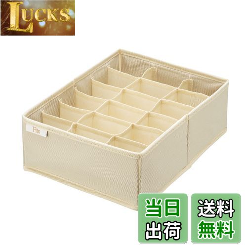 【送料無料】天馬(Tenma) せいとんボックス Lサイズ(仕切り18マス) 33Lx24Wx11Hcm