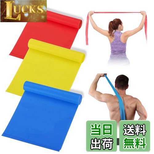 roseddy トレーニングチューブ チューブトレーニング エクササイズバンド レジスタンスバンド 筋トレ ..