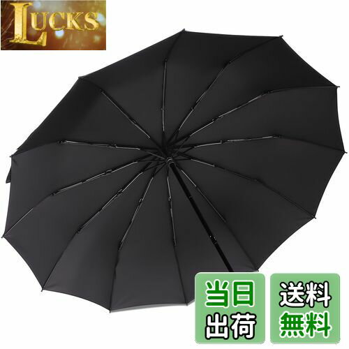 折りたたみ傘 Zruier【超大サイズ・12本骨】 折り畳み傘 軽量 メンズ レディース 大きい 頑丈12本骨 高強度グラスファイバー 耐風撥水 手動開閉 おりたたみ傘 台風対応 豪雨対応 メンズ傘 梅雨対策 男女兼用(ブラック)