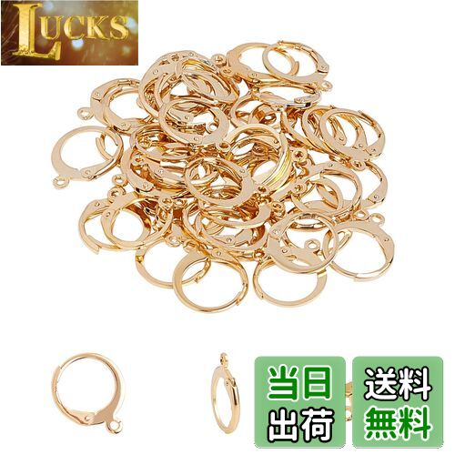 UNICRAFTALE 50 1mm աץԥѡ 304ƥ쥹СХå󥰥ѡ ե󥹼 롼դ 䥯å ԥ ѡ...