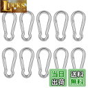 【送料無料】XSAJU カラビナ 304ステンレス Dリング 小型 自動ロック アウトドア用品 登山 キャンプ用品 (4cm 10個セット)