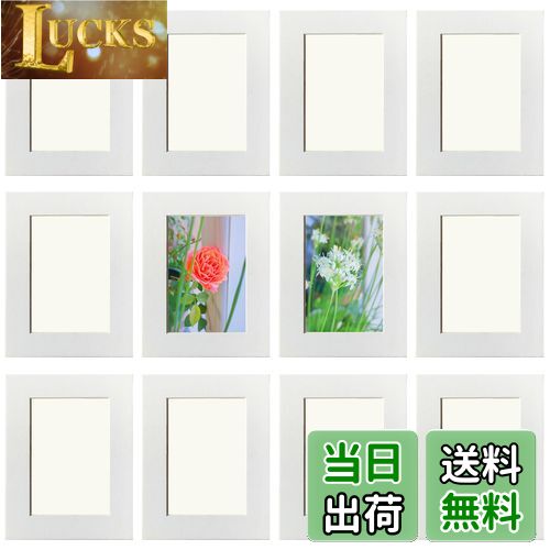 Haojiaho アートフレーム 12個セット 子供の絵 展示用 フォトフレーム 7.9*11.7cm【透明保護フィルム + 壁掛け用粘着シート 付き】 超軽量 厚紙製 絵画教室 絵 展示 ペーパーフォトフレーム 子供の 美術工房 美術展 美術研修室 教育機関 学校 幼稚園 絵画展示 壁掛け 壁