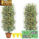 【送料無料】防虫ネット 植物保護カバー 2個セット 保護カバー 防鳥ネット メッシュ巾着式 虫鳥除け網 通気性 引き紐付き 園芸用ネット 植物保護カバー 鳥害対...