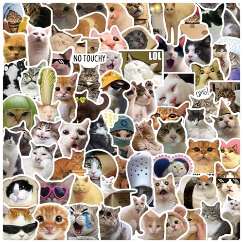 【送料無料】DELUXEFOX ステッカー セット 防水ステッカー キ...(2)