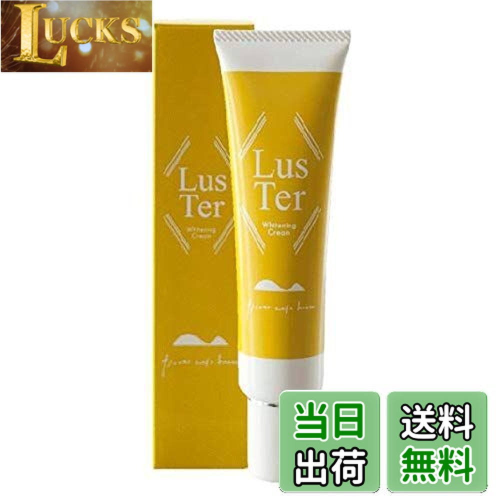 ������̵���ۡڰ��������ʡ�LusTer |�饹�������꡼���60g��[��������ǻ̩���꡼��] ��������60g