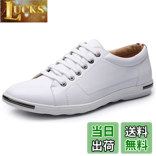 ̵[Lopis] Ķ ˡ  ե쥶  塼 å ͵  ̶ ̳ ˽ ä  ...