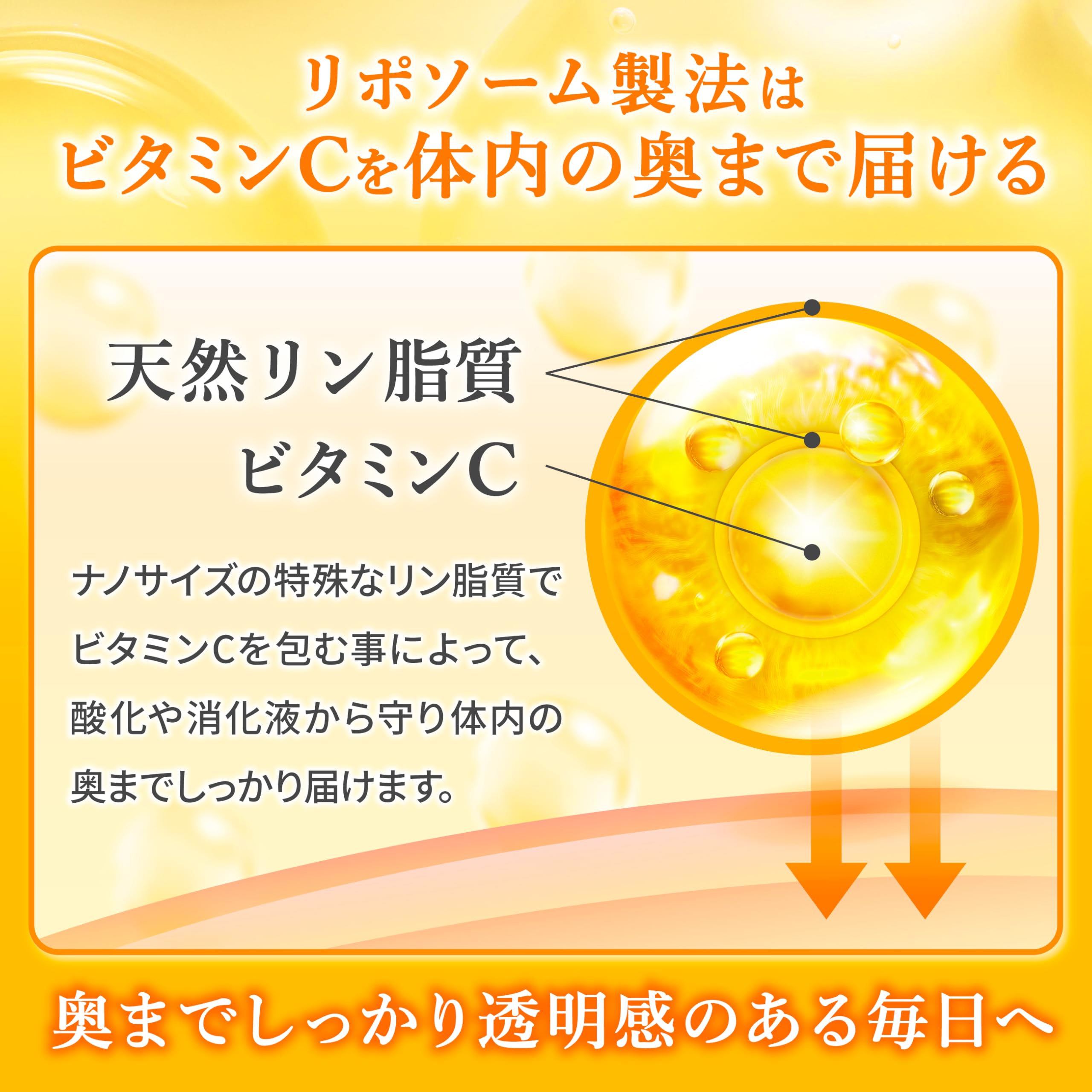 【送料無料】リポソームビタミンC 100% 日本製 リポソームビタミンC(1日1000mg) 30日分 飲みやすい錠剤 clickworks-10143447 LUCKS サンプル画像3